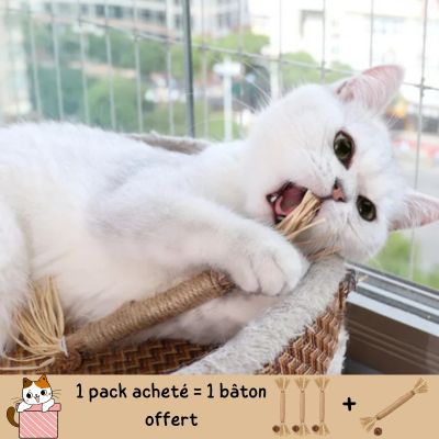 baton-pour-chat-offre