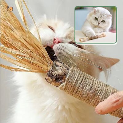 baton-pour-chat-raphia