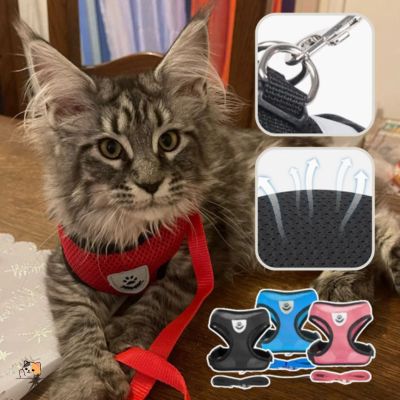 Harnais chat anti-fugue | Softsecureâą - MONCHAPINOU