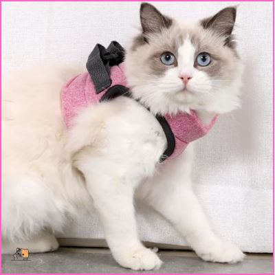 Harnais pour chat | d'affairesâą - MONCHAPINOU