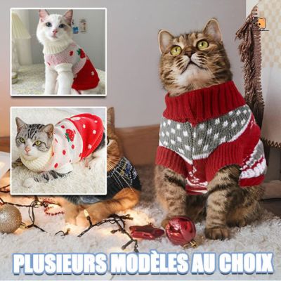 pull-chat-modĂšles