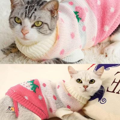 pull-chat-caractéristiques