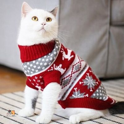 pull-chat-noël