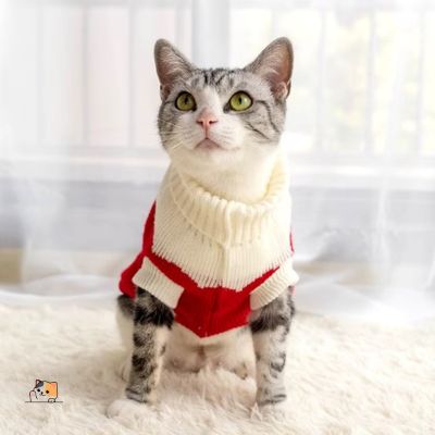 pull-chat-mignon