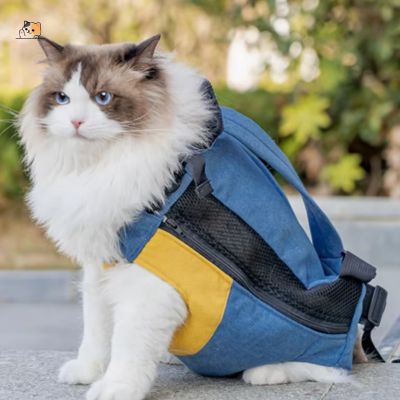 Sac Transport Chat | CompliceCat™ - MONCHAPINOU