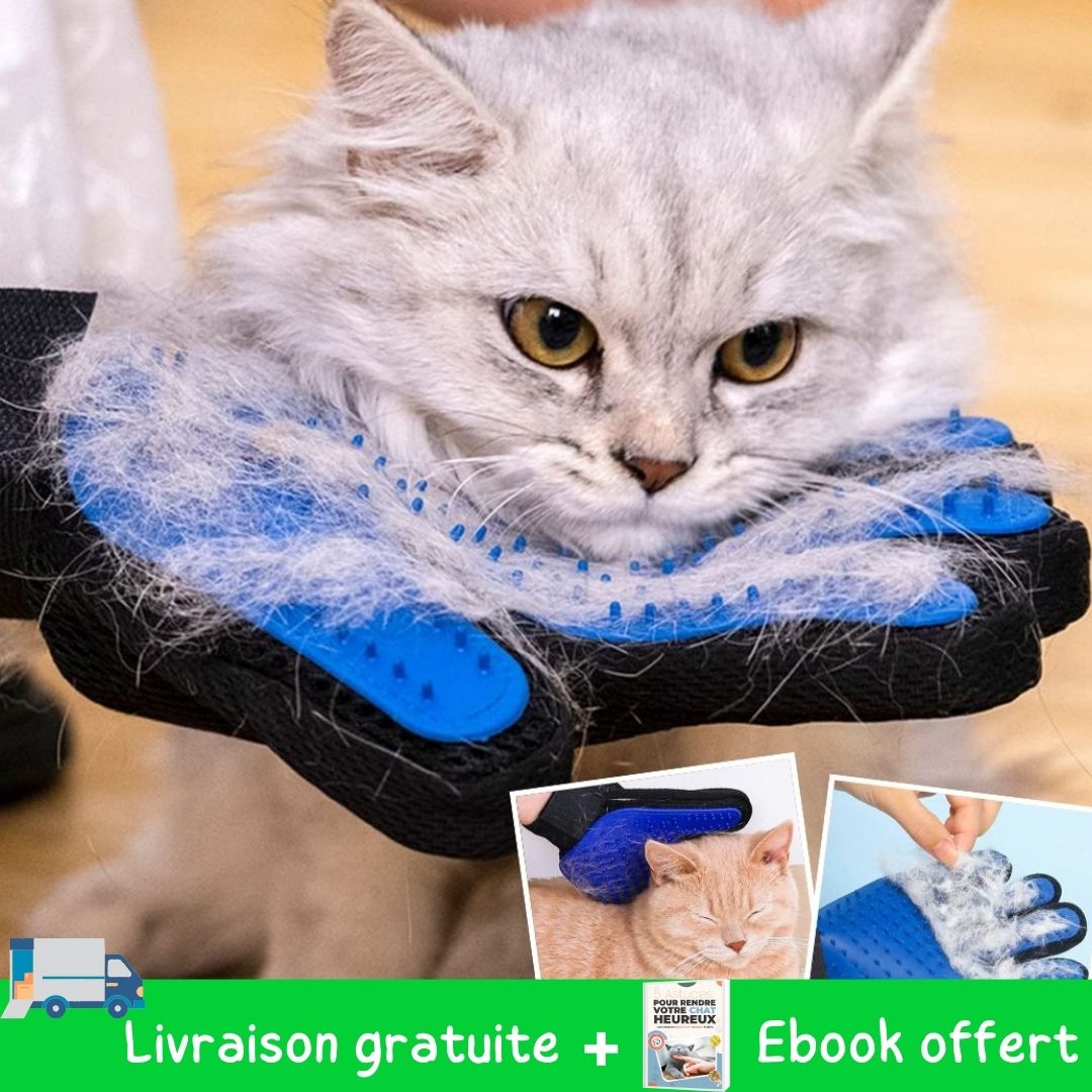 gant-brosse-chat