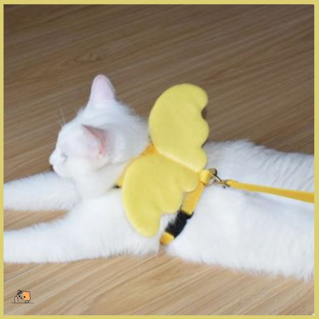 harnais-chat-jaune