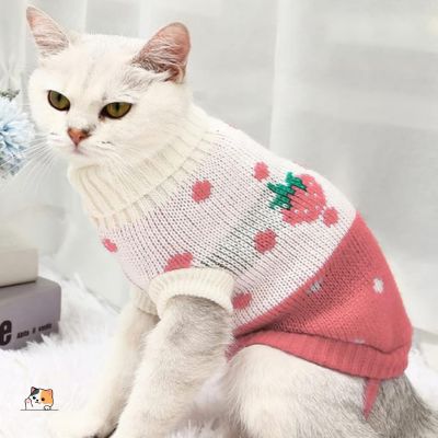 pull-chat-rose