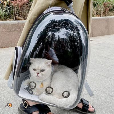 Sac à dos pour chat | Astronaute™ - MONCHAPINOU