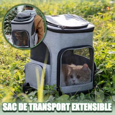 Sac à dos pour chat | Aventuriers™ - MONCHAPINOU