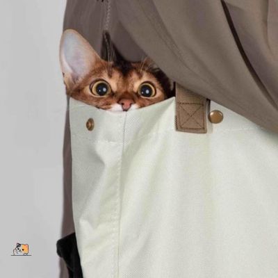 Sac de transport pour chat | HiDream™ - MONCHAPINOU