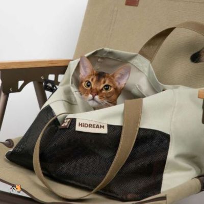 Sac de transport pour chat | HiDream™ - MONCHAPINOU