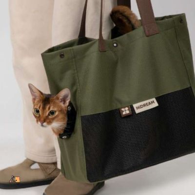 Sac de transport pour chat | HiDream™ - MONCHAPINOU