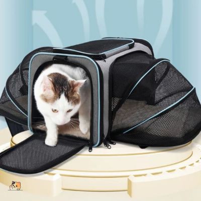 Sac de transport pour chat | Magicspace™ - MONCHAPINOU