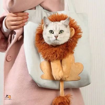 sac-de-transport-pour-chat-beige