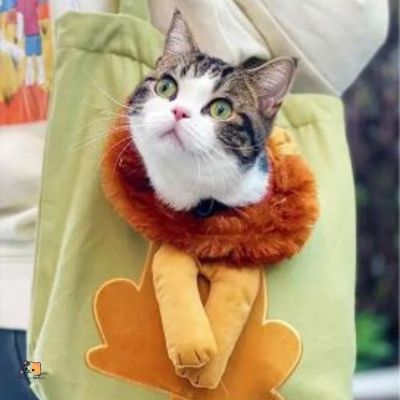 sac-de-transport-pour-chat-vert