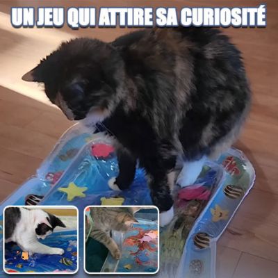 Tapis de jeu pour chat | CatSplash™ - MONCHAPINOU