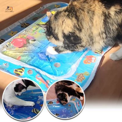 tapis-de-jeu-pour-chat