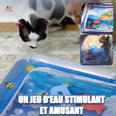 Tapis de jeu pour chat | CatSplash™ - MONCHAPINOU