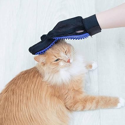 gant-brosse-chat-mignon