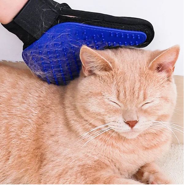 gant-brosse-chat-douceur