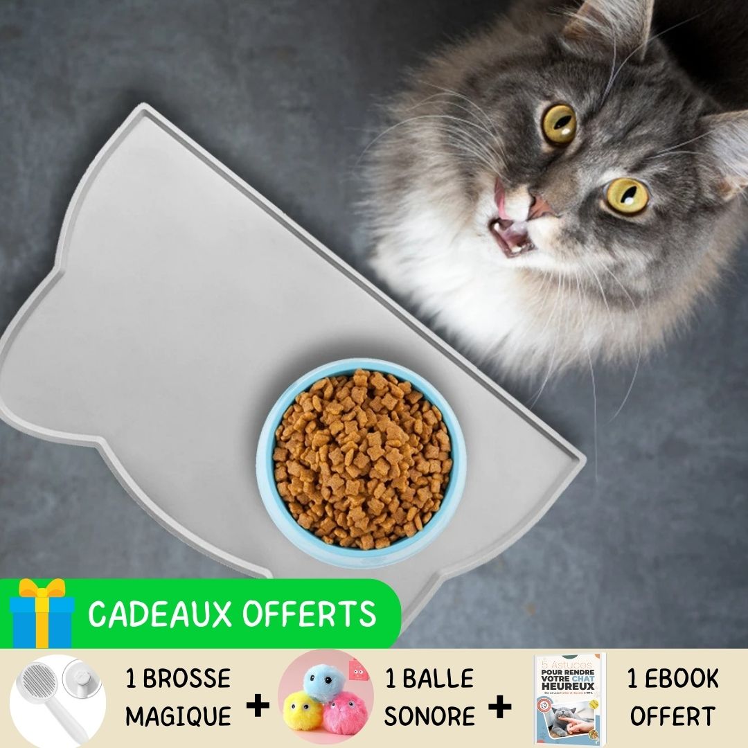 tapis-gamelle-chat